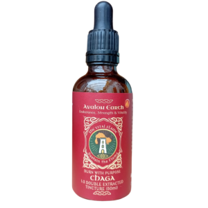 🔥 Chaga - Endurance & Protection