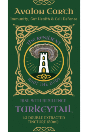 🌿 Turkey tail organic tincture (full-spectrum)