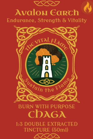 🔥 Chaga - Endurance & Protection